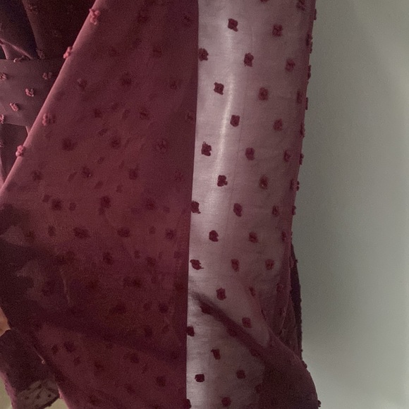 SOLD!!! NWT Poetic Love Cabernet Swiss Dot Long Sleeve Dress - Picture 5 of 8